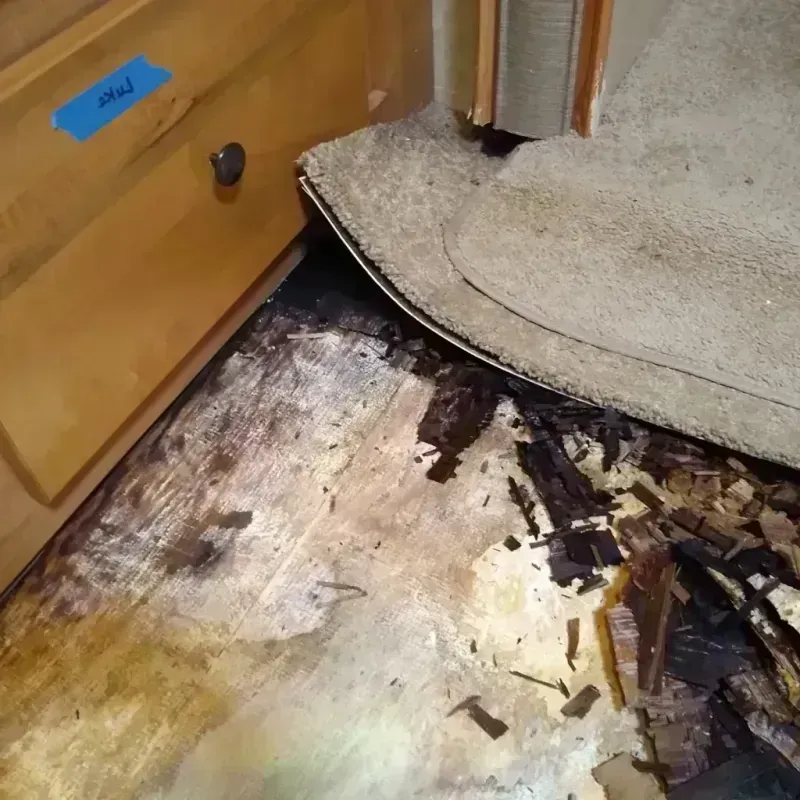 Wood Floor Water Damage in South Shore, IL